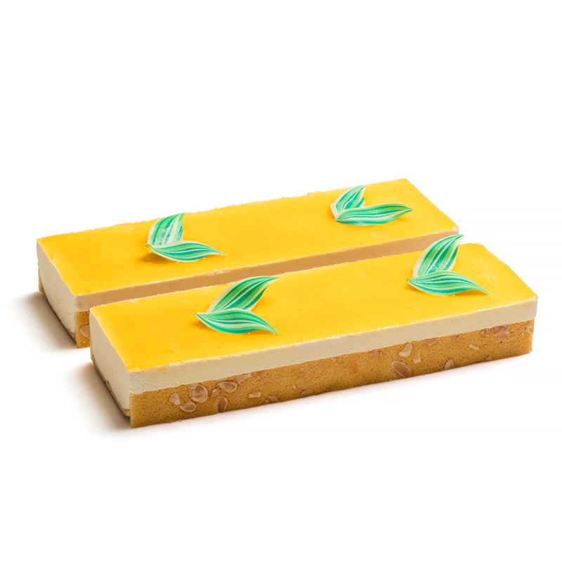 MANGO IJS LONGEUR 