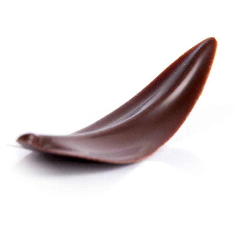 CURVY ELEGANCE CHOCOLADE