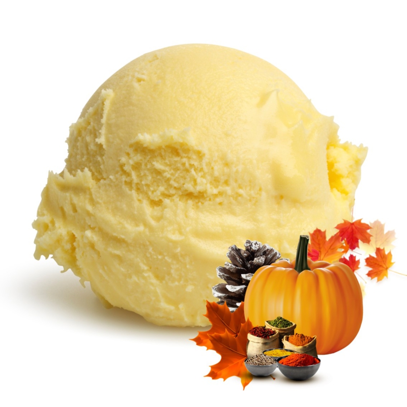 PUMPKIN SPICE ROOMIJS