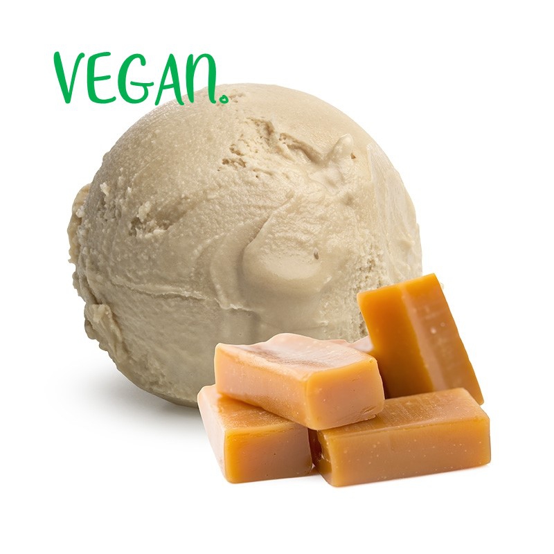 VEGAN CARAMEL ROOMIJS (TIJDELIJK NIET LEVERBAAR)