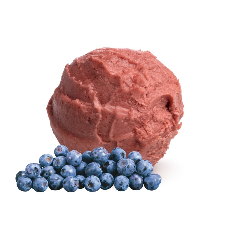 BLUEBERRY SORBET