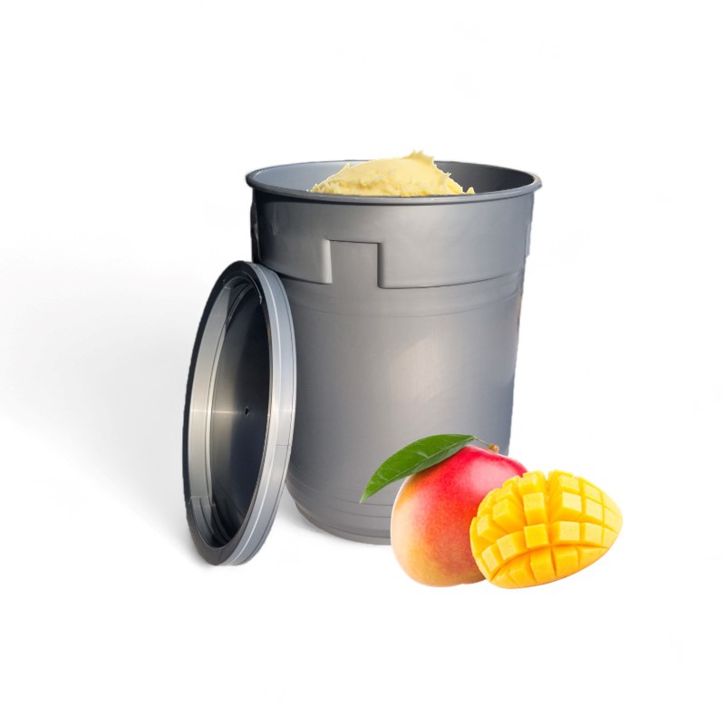 POZZETTI MANGO SORBET