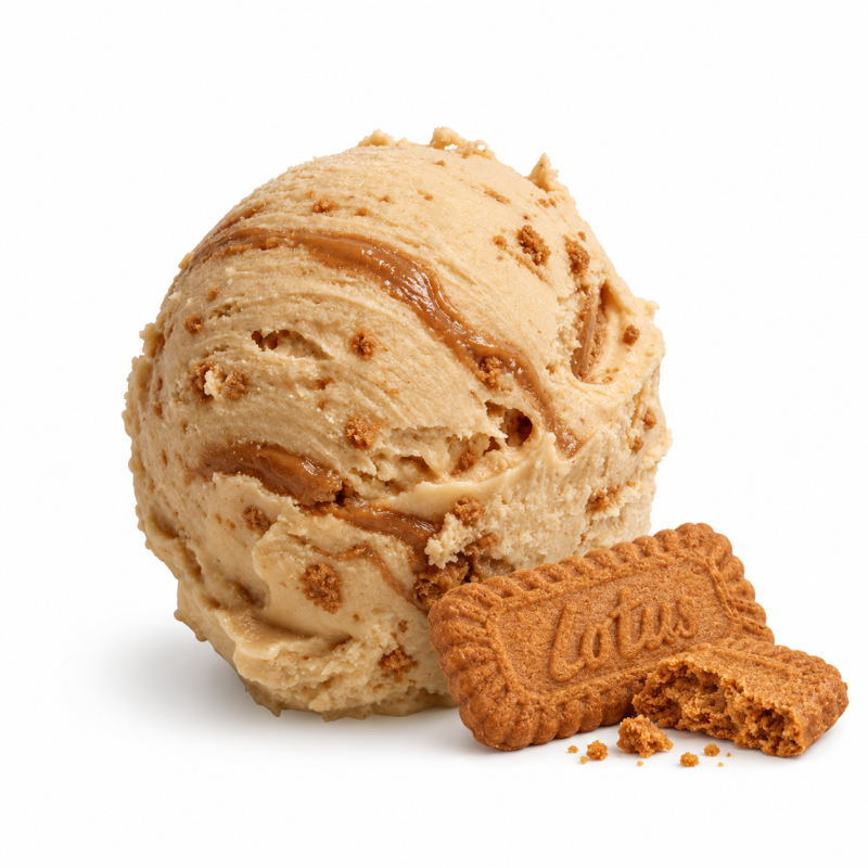 LOTUS SPECULOOS ROOMIJS (NIEUW!)